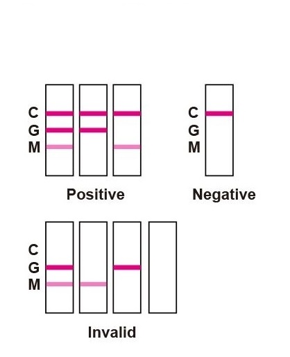 COVID-19 IgG/IgM Rapid Test